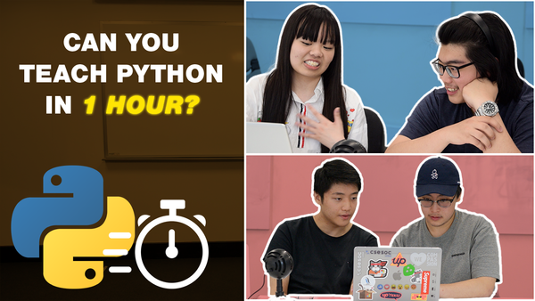 Can You Teach Someone Python in 1 Hour? | Teaching Newbies
